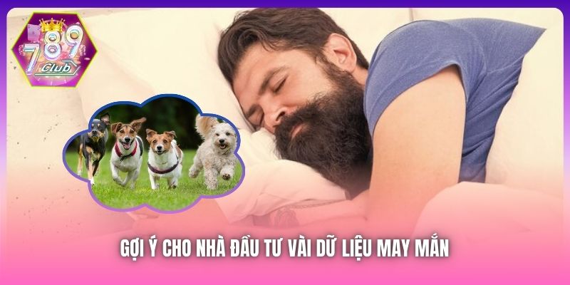 Gợi ý cho nhà đầu tư vài dữ liệu may mắn 