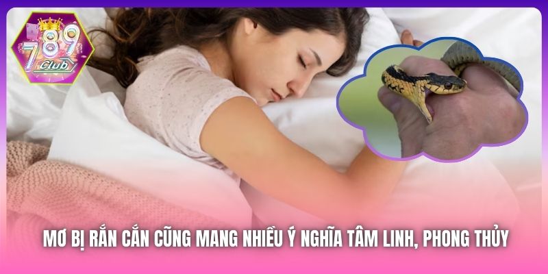 Bị cắn có máu hay không sẽ báo hiệu cho bạn cặp lô 15-51